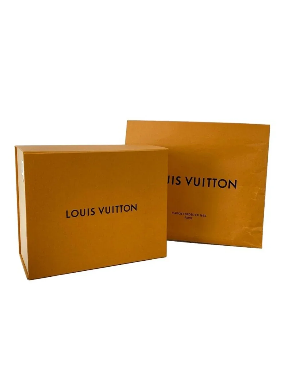 Louis Vuitton brand louis
